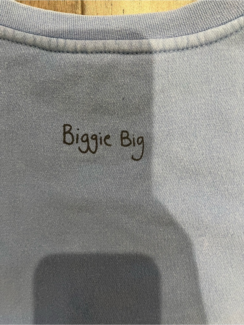 Soft Light Blue Crewneck Sweatshirt with Small Chest Graphic - Picture 5 of 9